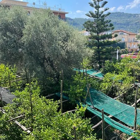 Sorrento's Carme Family Big Appartament アパート ソレント
