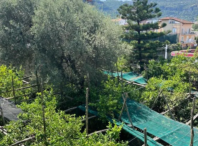 Exclusive Large 3 Bed With Pool Apartment Sorrento